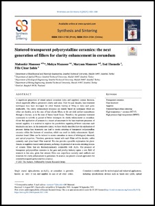 Sintered transparent polycrystalline ceramics: The next generation of fillers for clarity enhancement in corundum